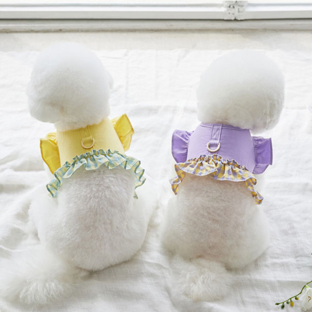 Lace Teddy Lingerie - Guinzaglio per cani a contrasto di